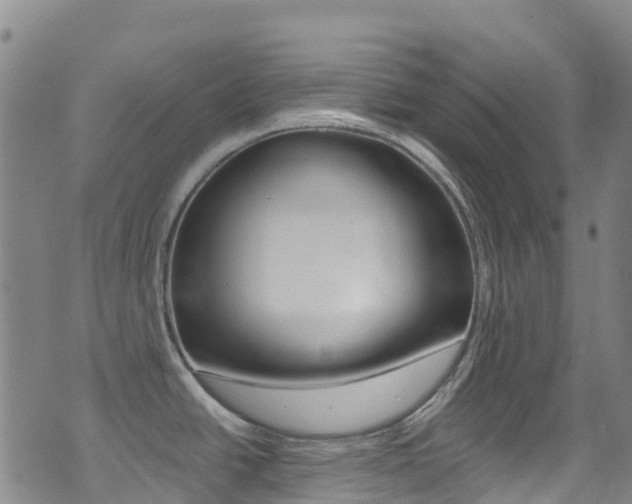 X0000071351438200606230751