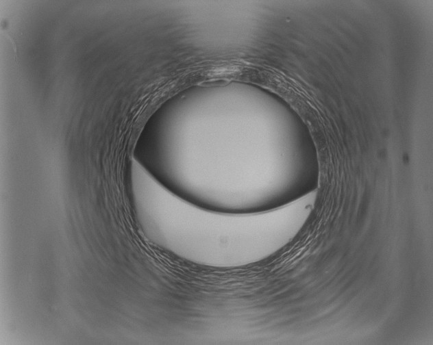 X0000071351441200606230750