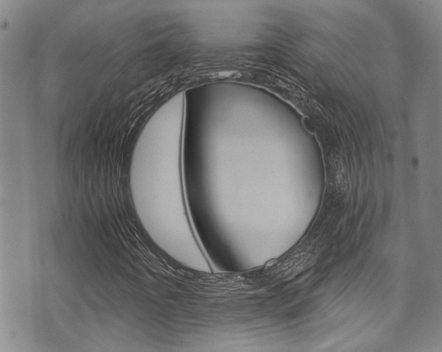 X0000071351442200606230750