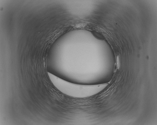 X0000071351443200606230750