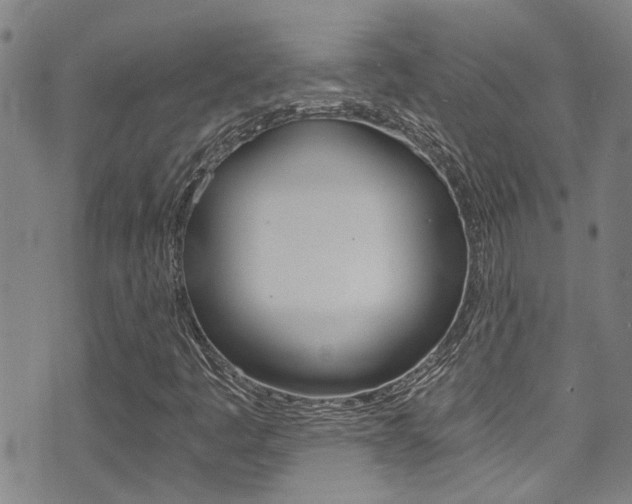 X0000071351445200606230750
