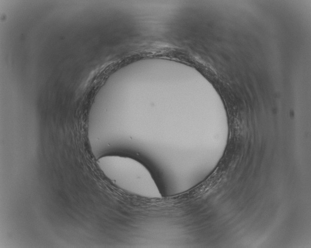 X0000071351447200606230750