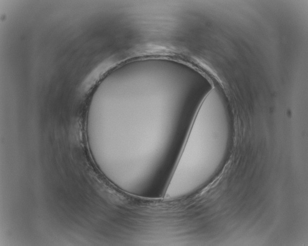 X0000071351455200606230750