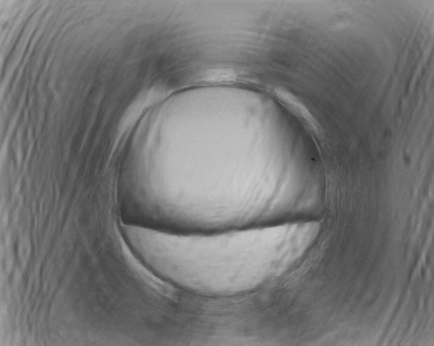 X0000071351475200606230750