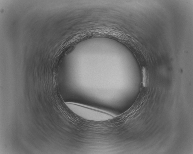 X0000071351491200606230749