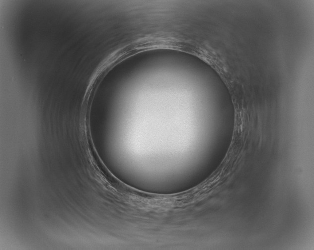 X0000071350004200606231216