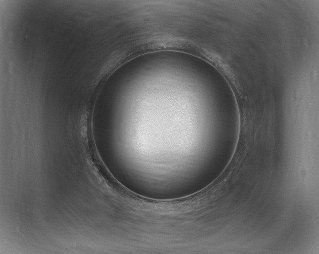 X0000071350010200606231216