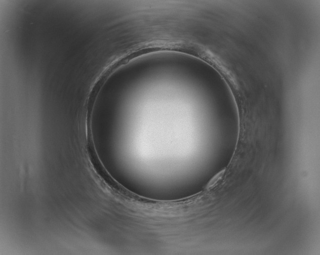 X0000071350011200606231216