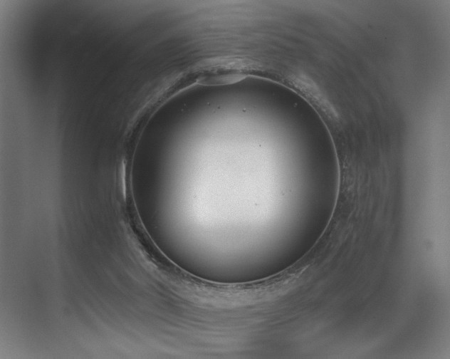 X0000071350014200606231216