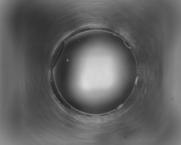 X0000071350015200606231216