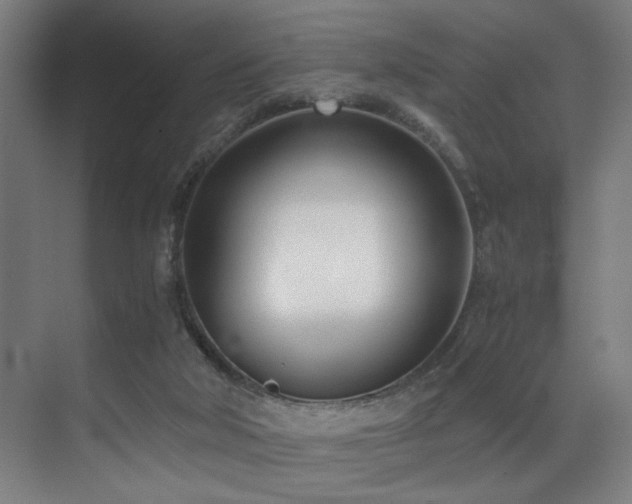 X0000071350018200606231216