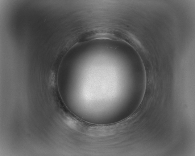 X0000071350025200606231216