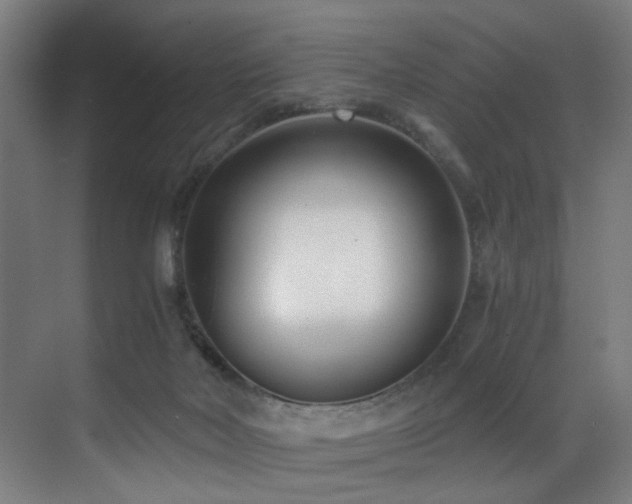 X0000071350026200606231216
