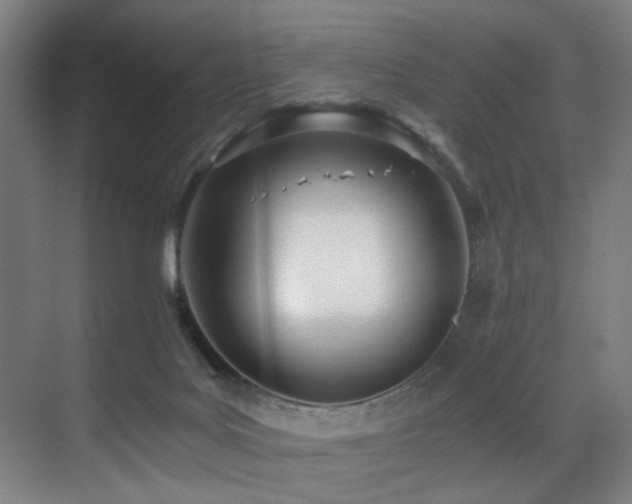 X0000071350027200606231216