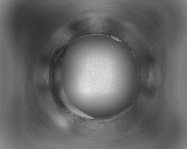 X0000071350029200606231216