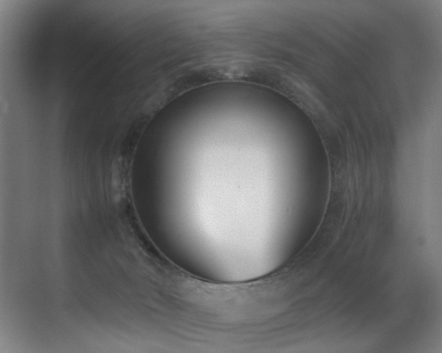 X0000071350030200606231216