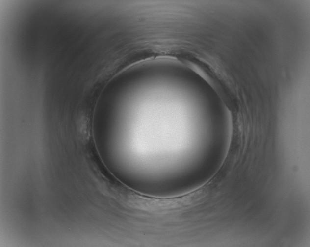 X0000071350031200606231216