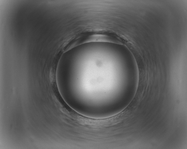X0000071350039200606231215