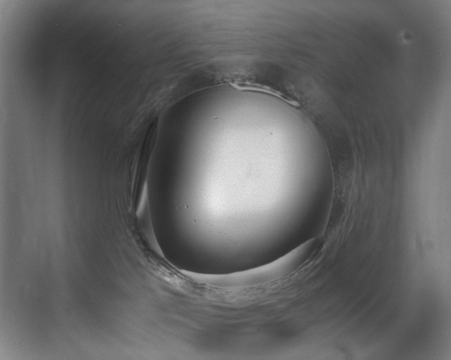 X0000071350041200606231215