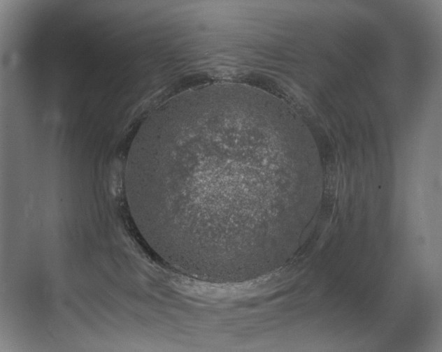 X0000071350043200606231215
