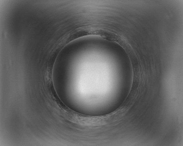 X0000071350044200606231215