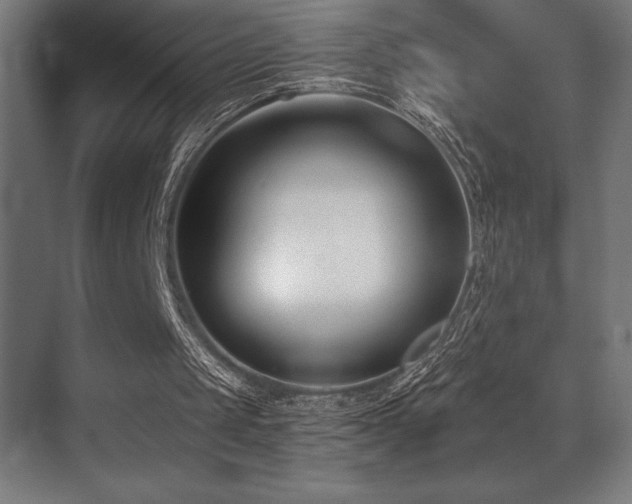 X0000071350049200606231215