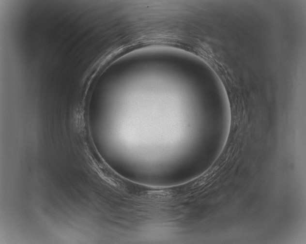 X0000071350050200606231215