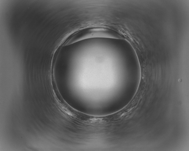 X0000071350052200606231215