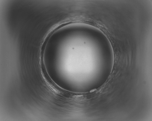 X0000071350054200606231215