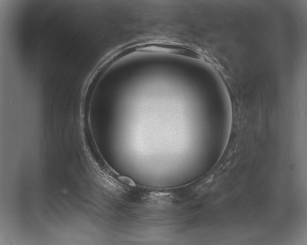 X0000071350055200606231215