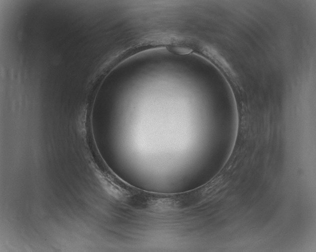 X0000071350058200606231215