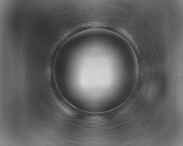 X0000071350063200606231215