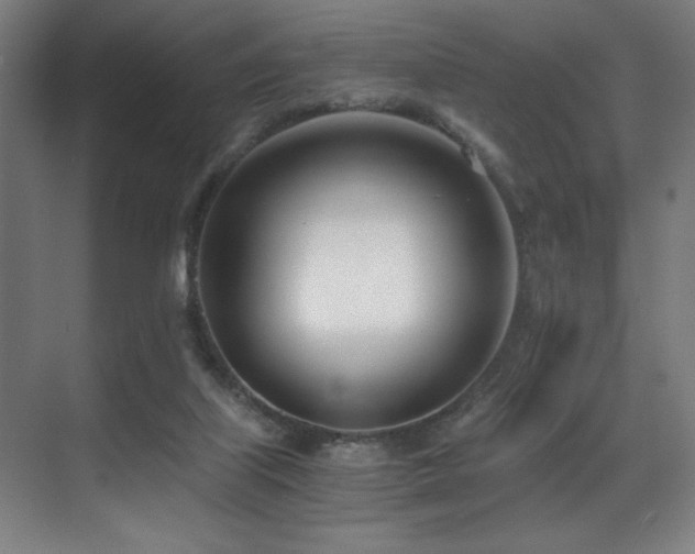 X0000071350067200606231215