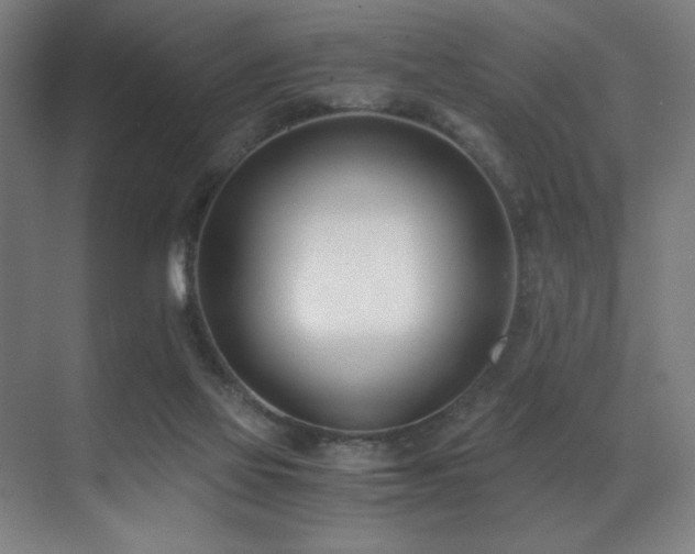 X0000071350069200606231215