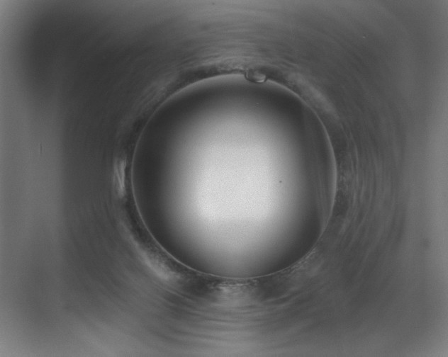 X0000071350070200606231215