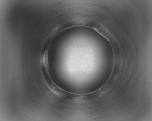 X0000071350072200606231215