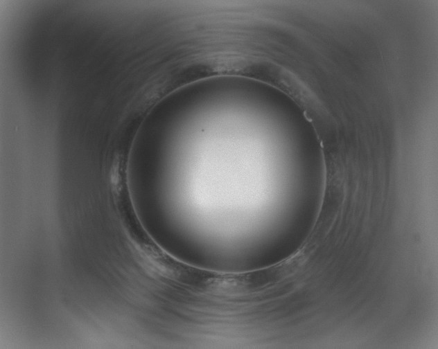 X0000071350074200606231215