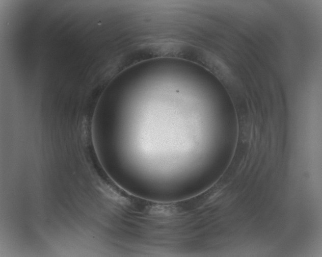 X0000071350077200606231215