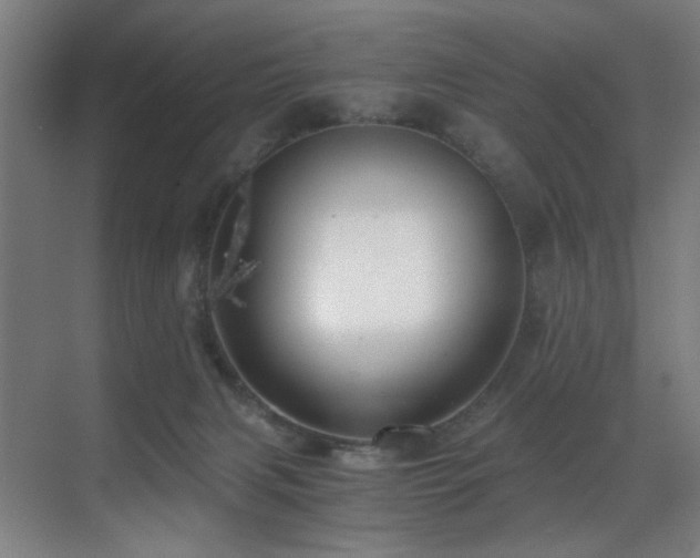 X0000071350079200606231215