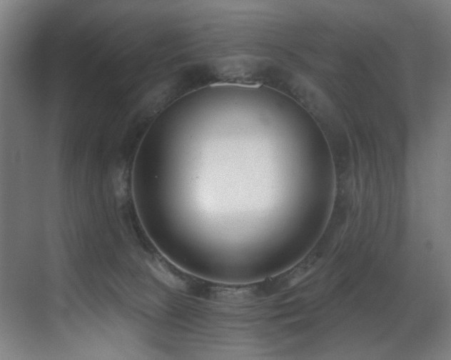 X0000071350081200606231215
