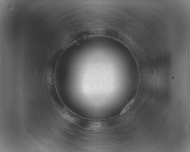 X0000071350083200606231215
