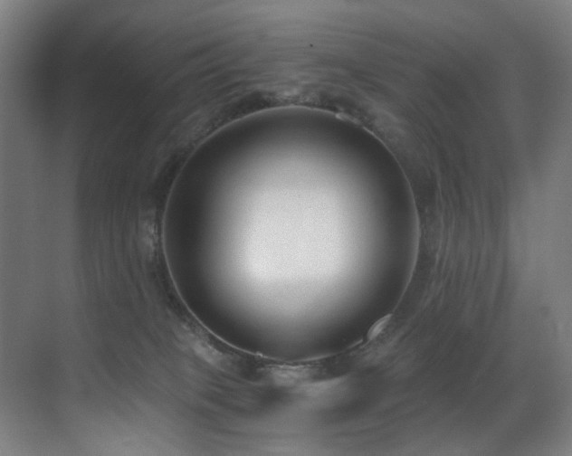 X0000071350085200606231215