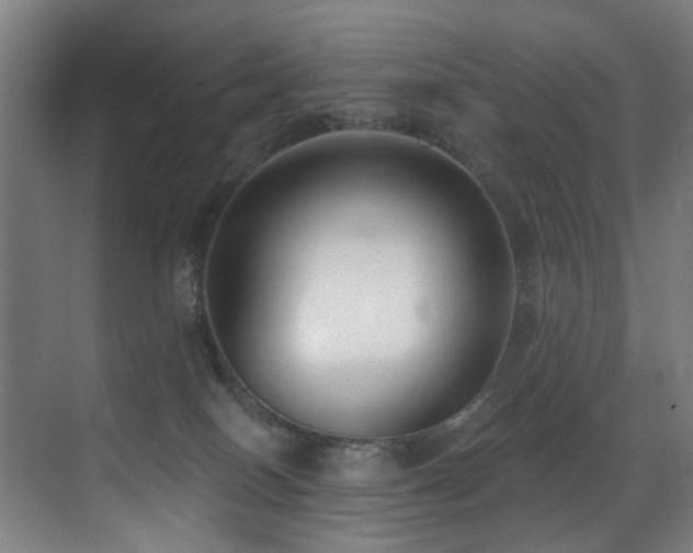 X0000071350086200606231215