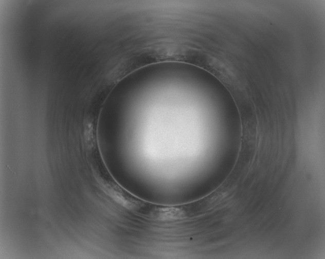 X0000071350087200606231215