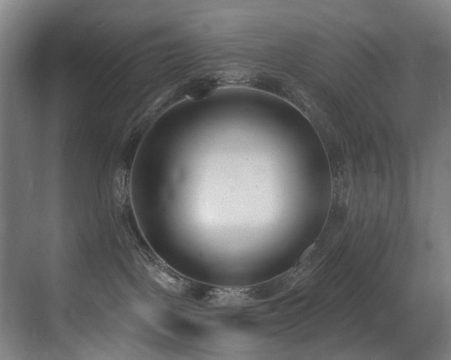 X0000071350093200606231215