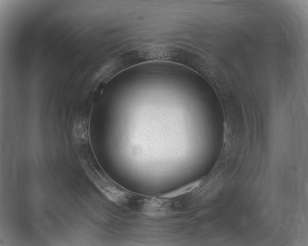 X0000071350096200606231215