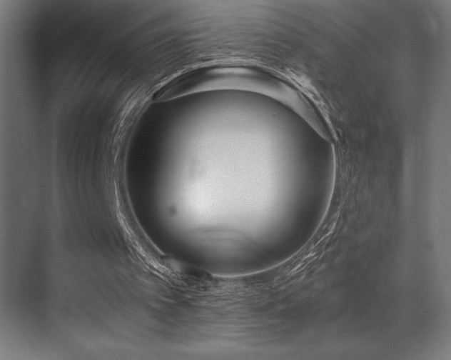 X0000071350097200606231214