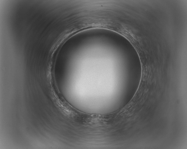 X0000071350098200606231214