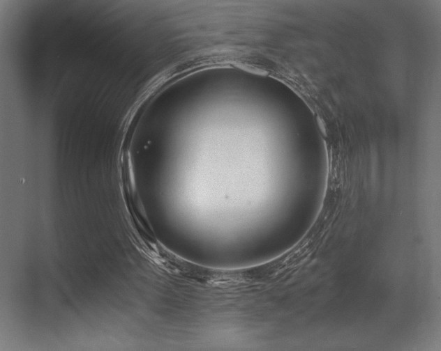X0000071350099200606231214