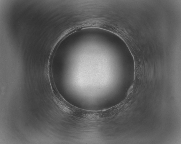 X0000071350100200606231214